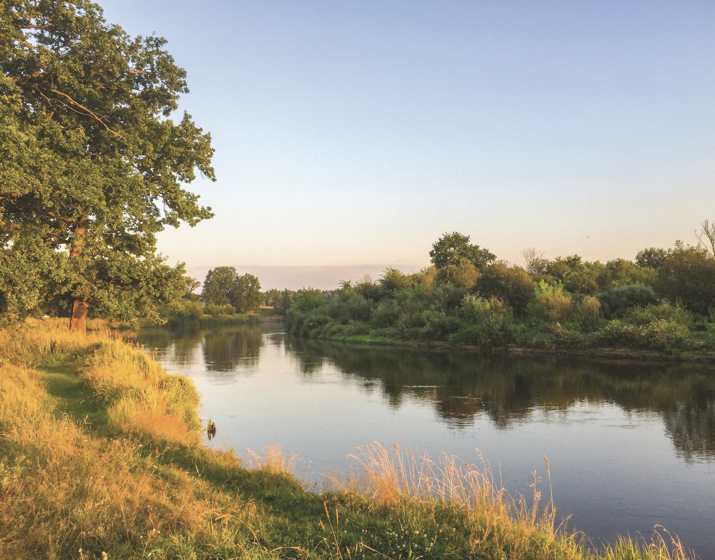 HI-Wohnbau <p>PARKWOHNEN ZWISCHEN REICHSWALD UND REDNITZTAL</p> <p>Parkwohnen zwischen Reichswald und Rednitztal: LOOP ist wie gemacht für alle, die in der Natur und doch stadtnah leben möchten. Der lebens- und liebenswerte Stadtteil Reichelsdorf mit seinem Gartenstadtcharakter ist die perfekte Wahl als Lebensmittelpunkt für all diejenigen, die kurze Wege in die Innenstadt und Wohnen mit einem extra hohen Freizeit- und Erholungswert in der Natur kombinieren wollen.</p> <p>Der Eingang zum Reichswald befindet sich praktisch fast auf der gegenüberliegenden Straßenseite. Mit seinen weitläufigen Wander- und Radwegen eröffnet sich das 10.000 Hektar große Waldgebiet des südlichen Reichswalds direkt vor der Haustüre und bietet wunderbare Gelegenheiten zur Entschleunigung. </p> <p>Gerade mal fünf Minuten zu Fuß sind es vom LOOP bis zu den herrlichen, naturbelassenen Rednitzauen. Das Rednitztal entlang der Rednitz mit seinen Wässerwiesen, Auwäldern und Ufergehölzen bietet Lebensraum für viele seltene Tierarten, wie zum Beispiel Eisvögel, Bieber und Störche, und ist die grüne Lunge im Nürnberger Süden. Die naturbelassene Auenlandschaft bietet ein echtes Naturparadies mit unendlichen Möglichkeiten zur freien Entfaltung.</p>